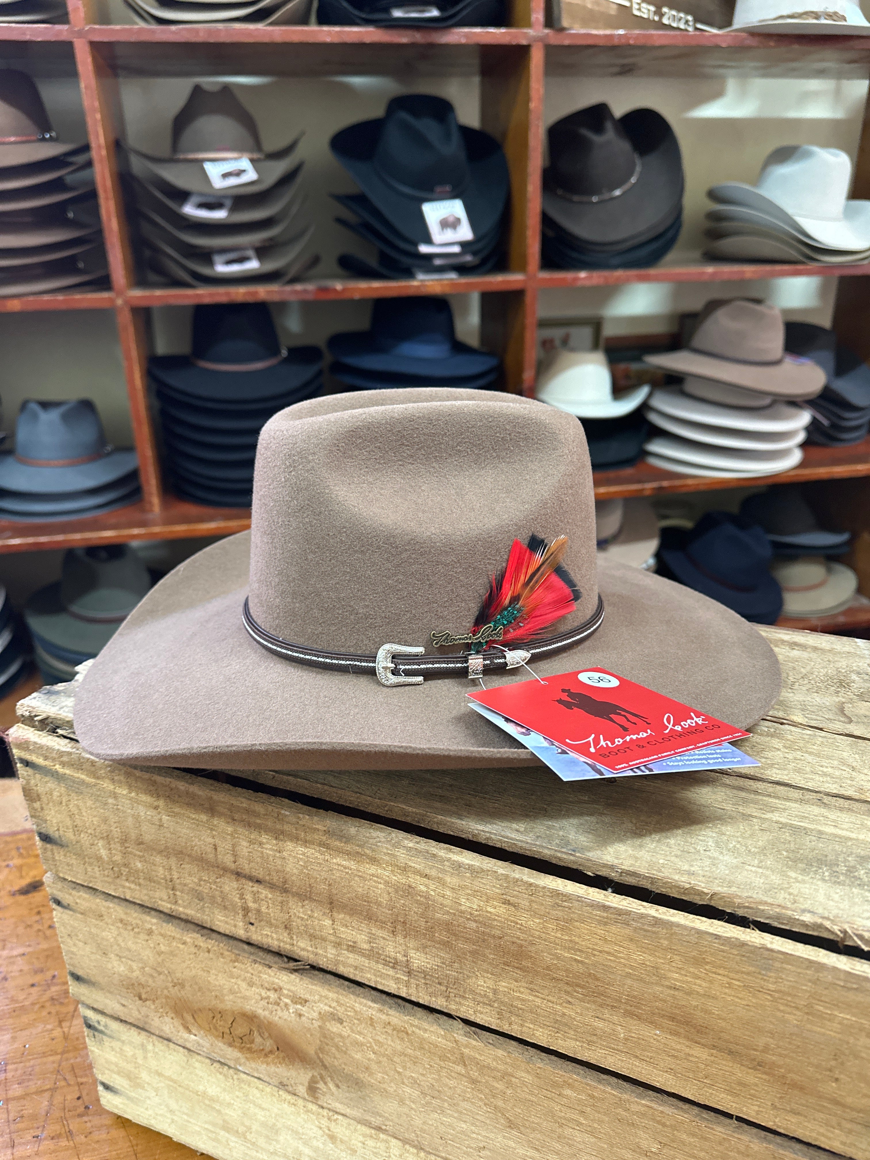 Thomas Cook Bronco Australian Pure Wool Felt Hat Fawn
