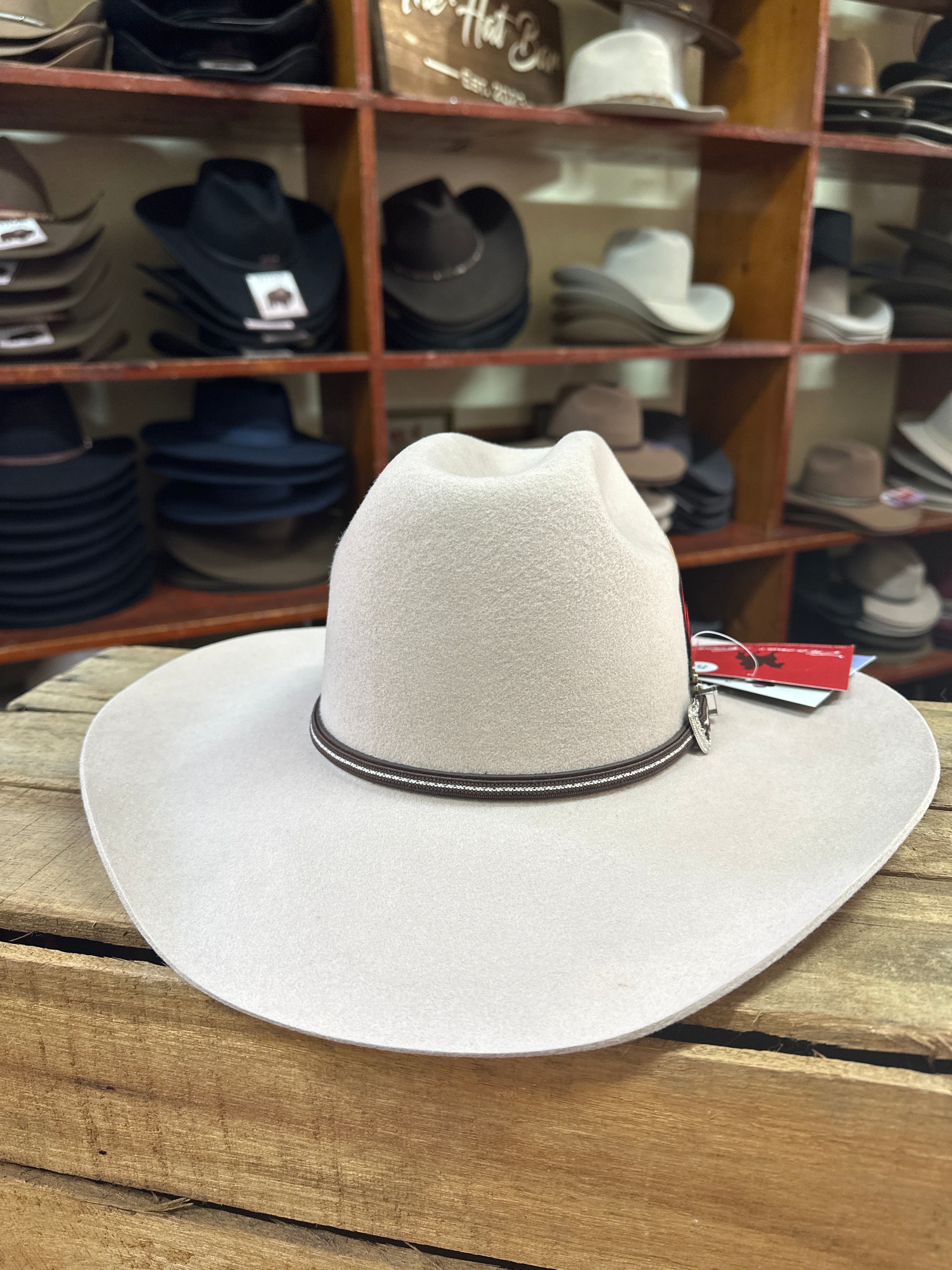 Thomas Cook Bronco Australian Pure Wool Felt Hat Bone