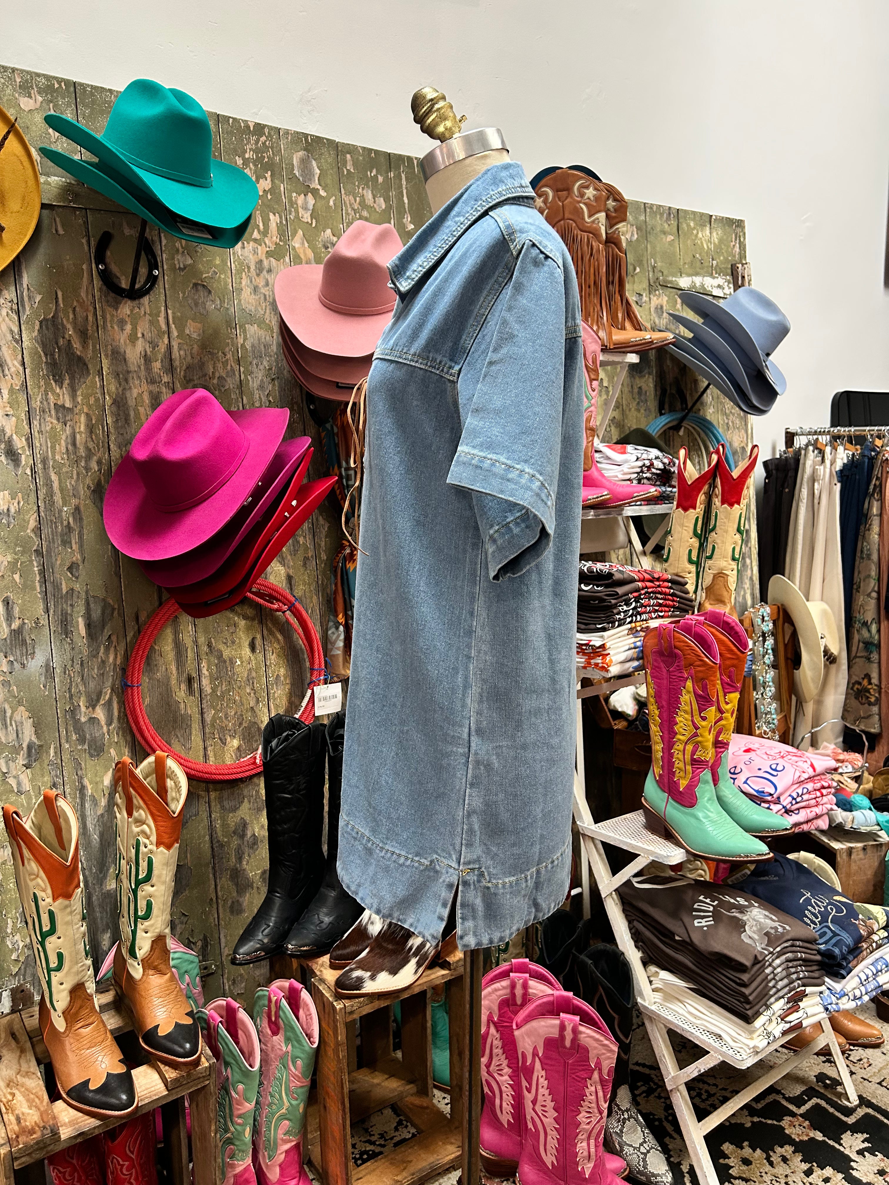 Paper Hearts Texas Denim Tie Up Dress