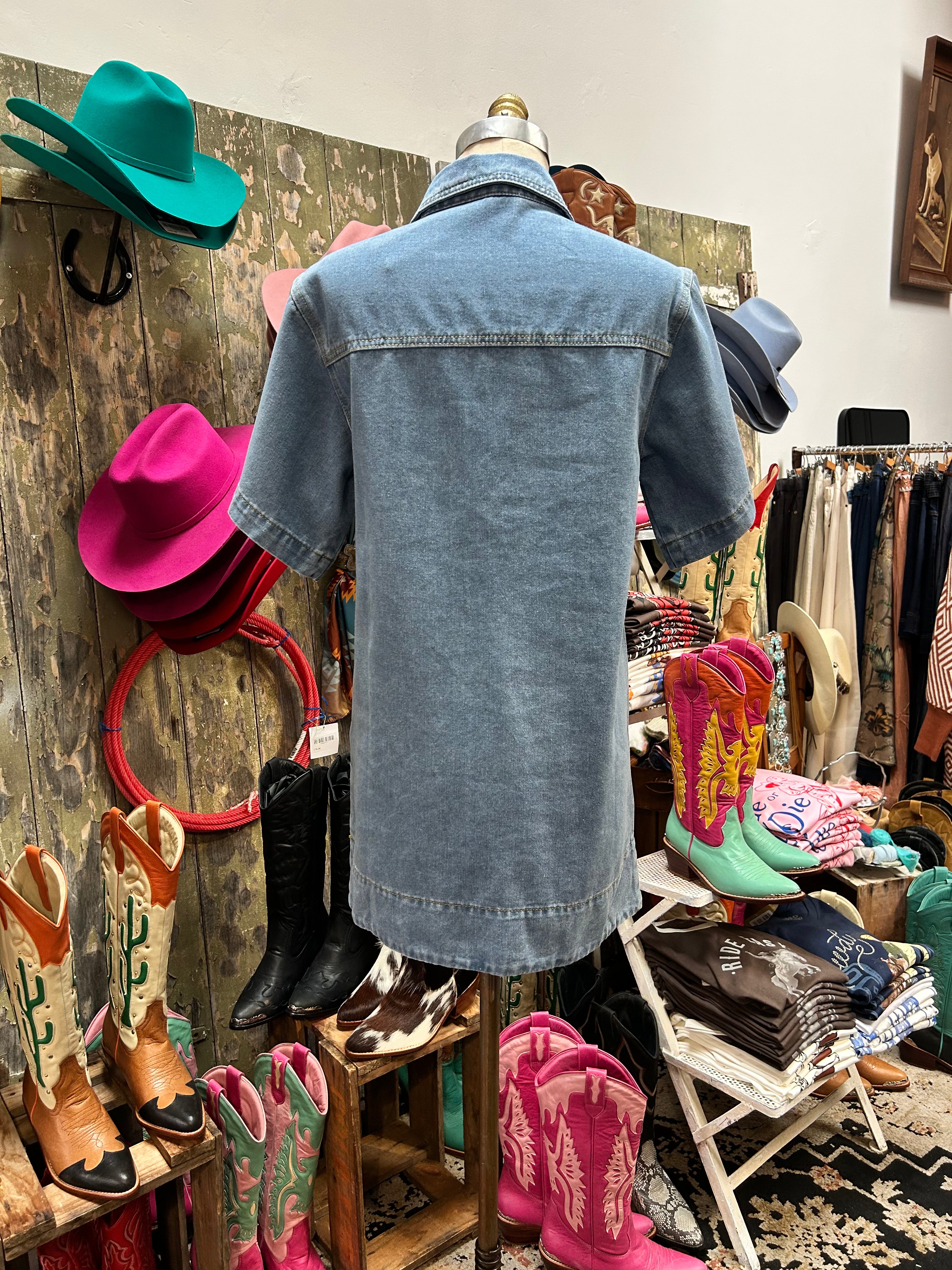 Paper Hearts Texas Denim Tie Up Dress