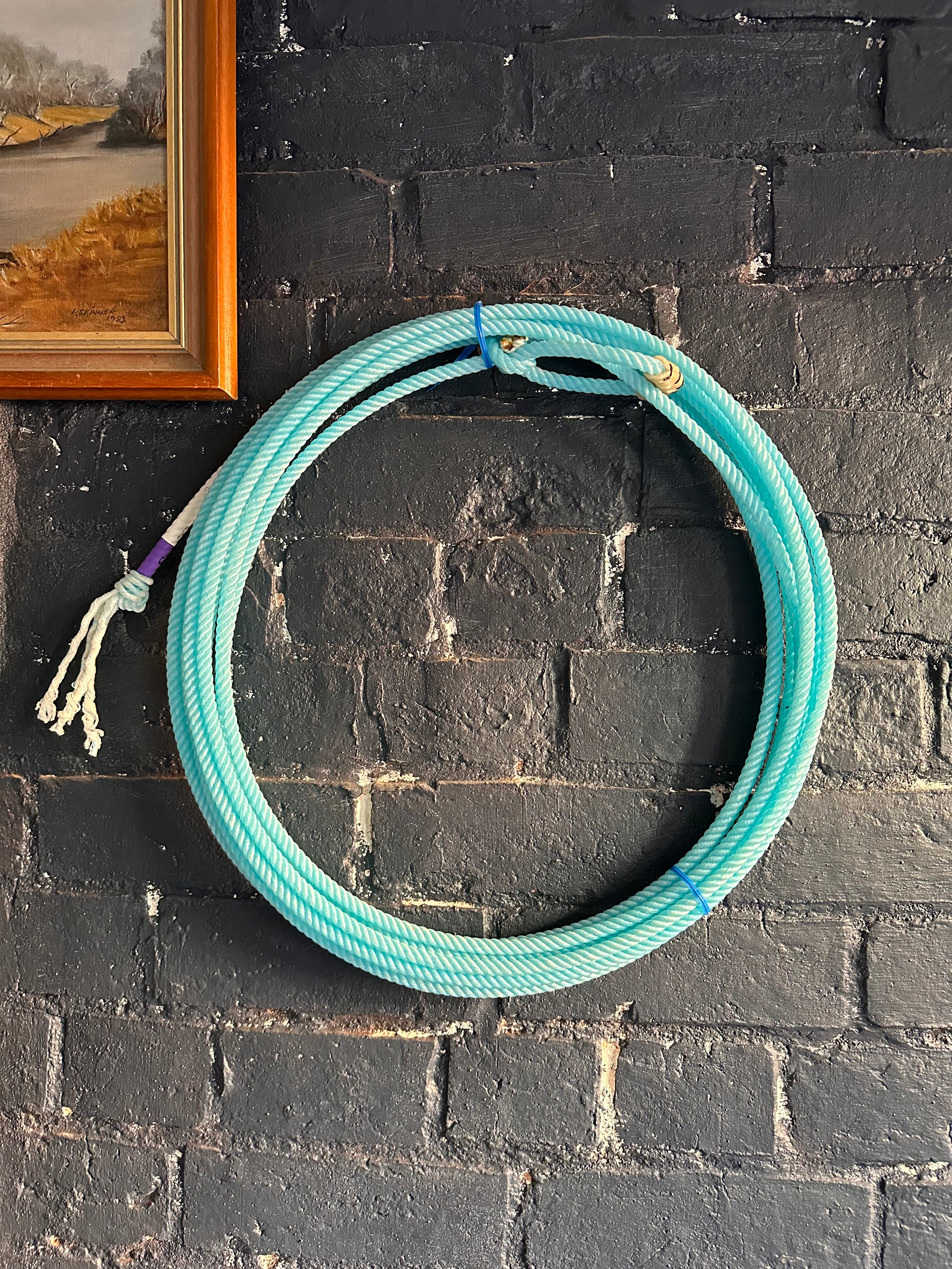Instinct Rope by Fast Back
