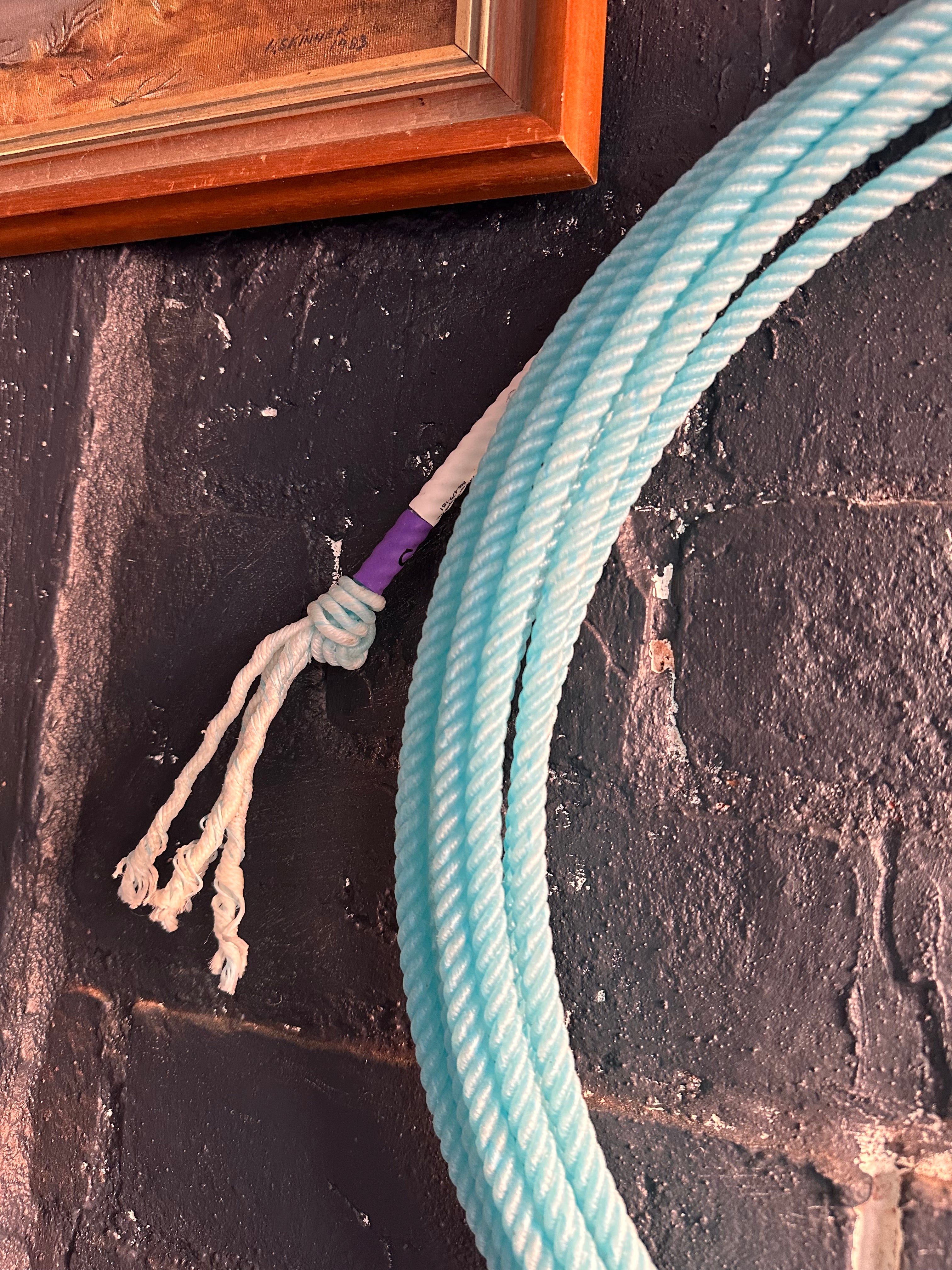 Instinct Rope by Fast Back