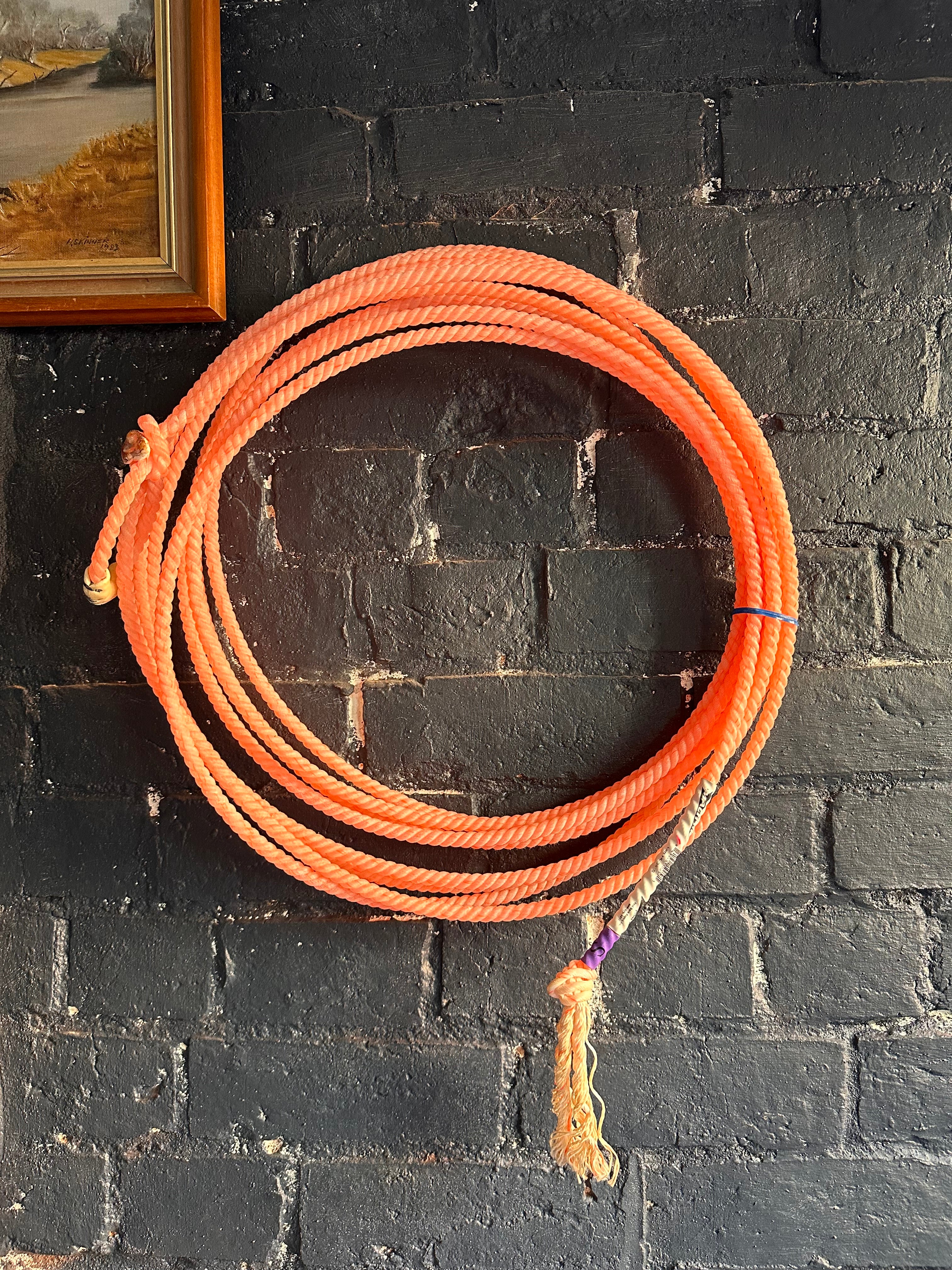Mach 3 by Fast Back Rope