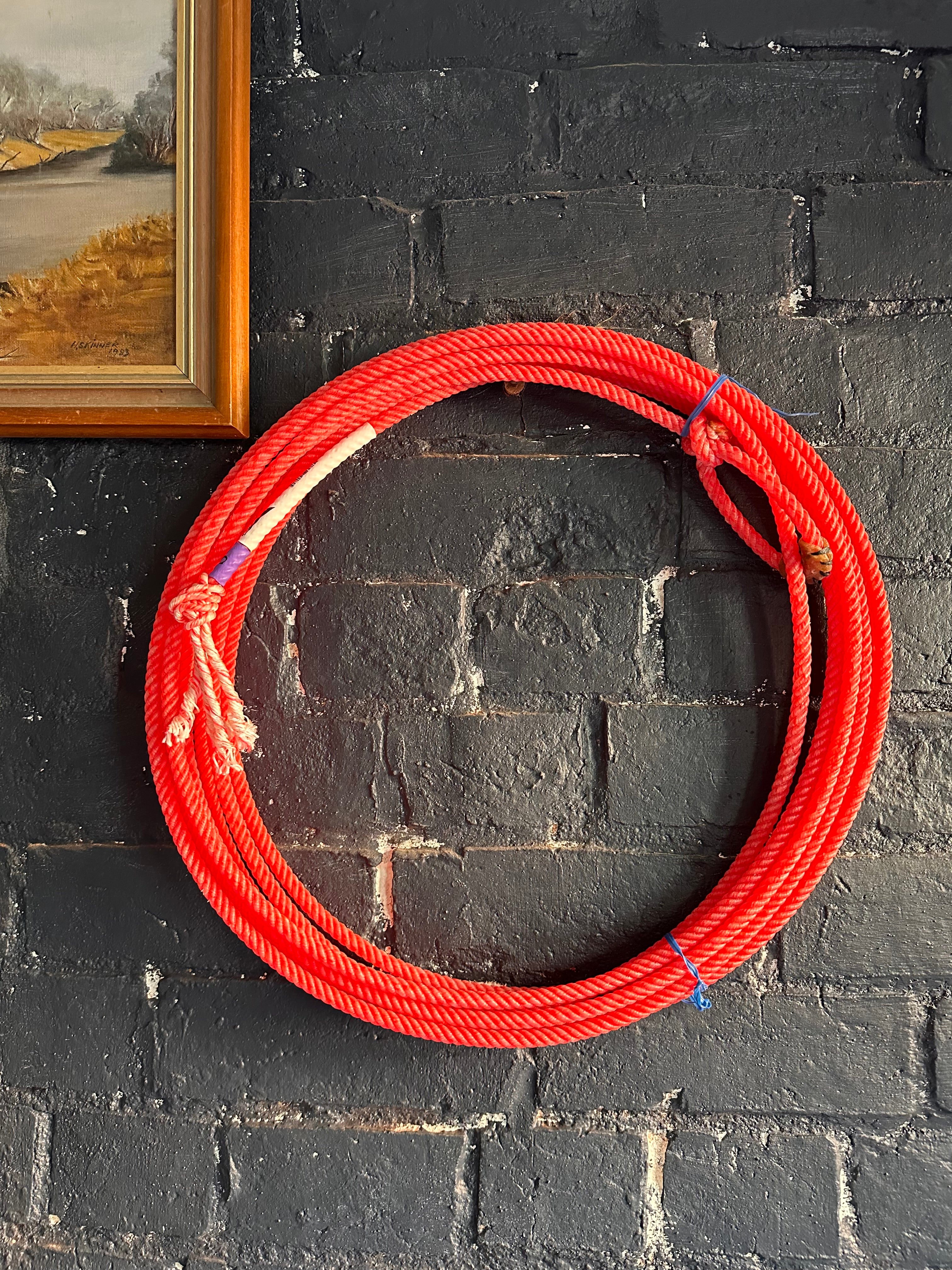 Redline by Fast Back Rope