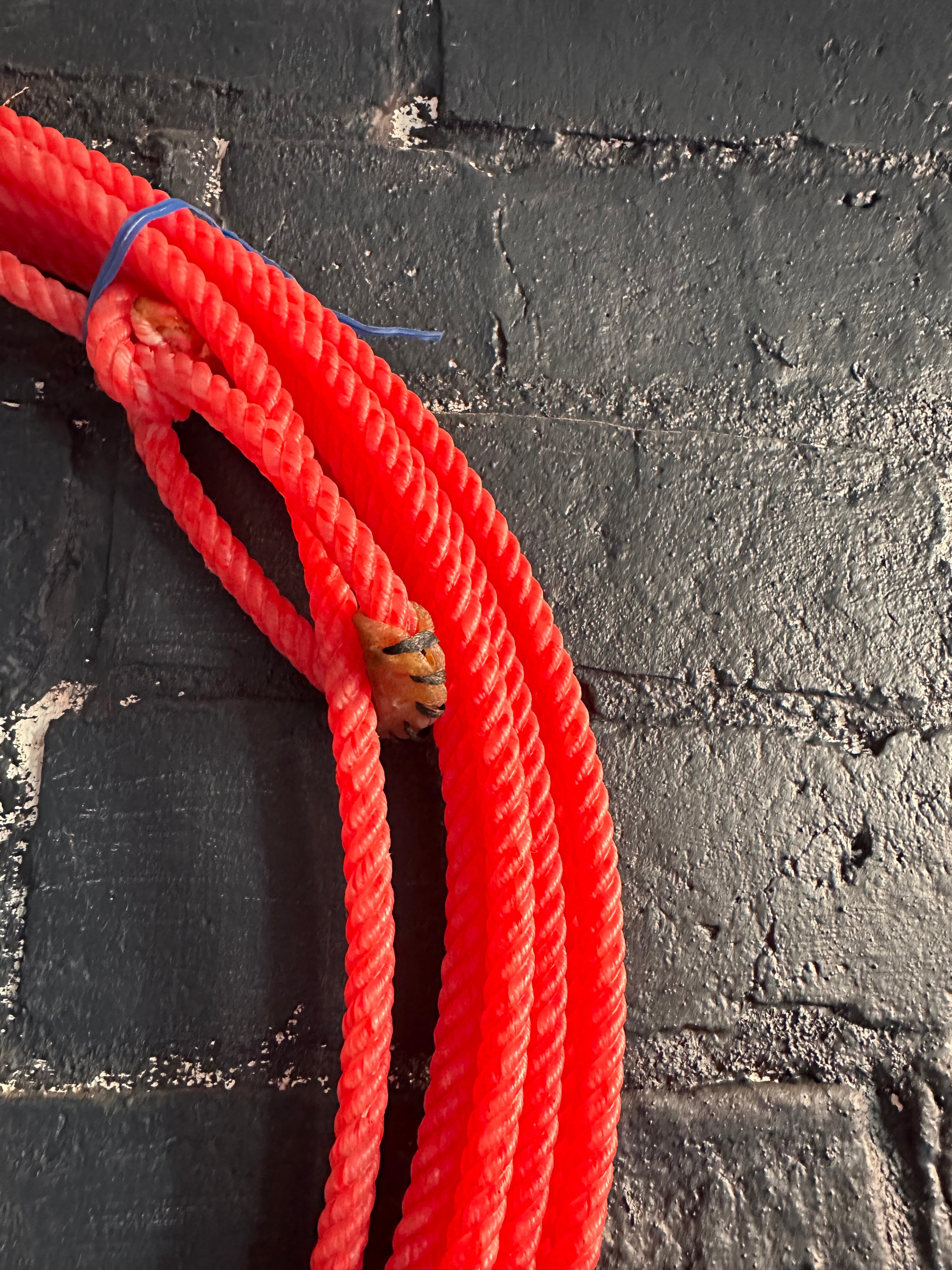 Redline by Fast Back Rope