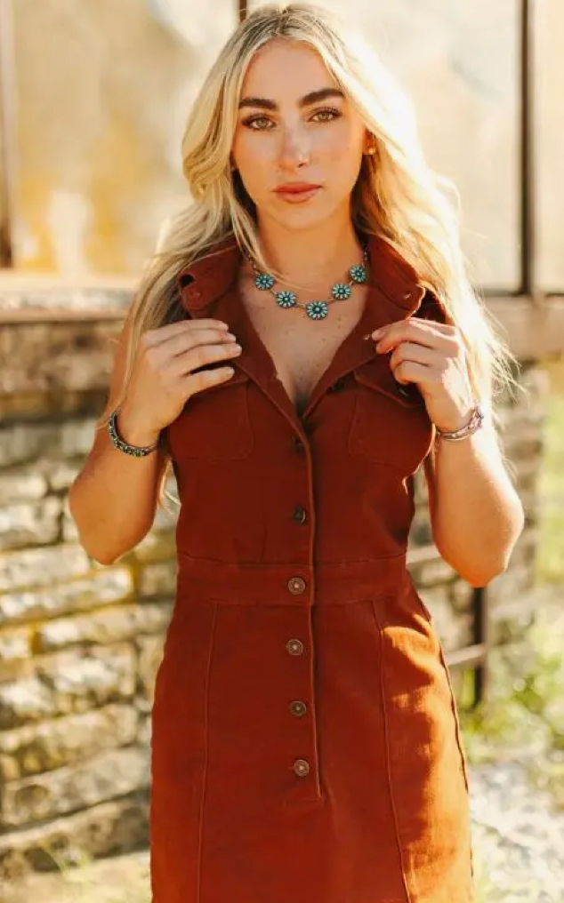 Lucky Stetch Denim Button Down Collared Sleeveless Dress