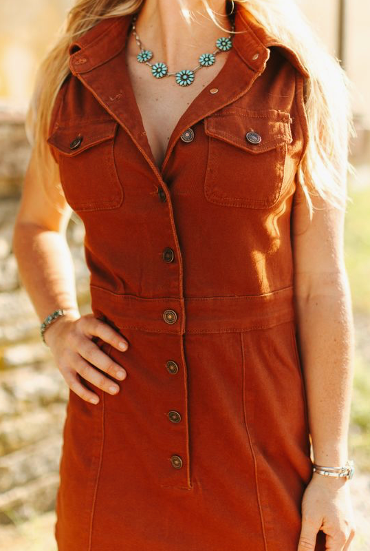 Lucky Stetch Denim Button Down Collared Sleeveless Dress